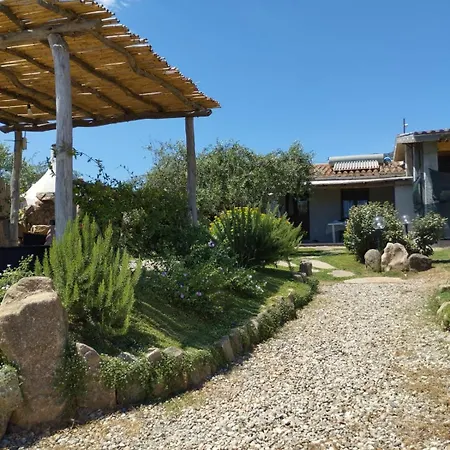 Cuccuru Relax - B Iun Q9882