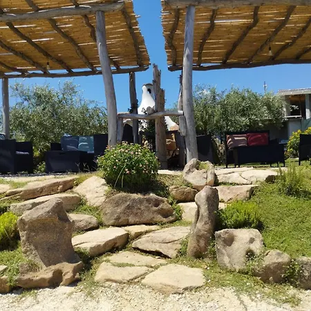 Cuccuru Relax - B Iun Q9882