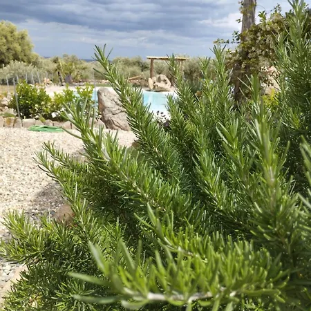 Casa vacanze Cuccuru Relax - B