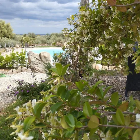 Cuccuru Relax - B Iun Q9882 Holiday home Orosei