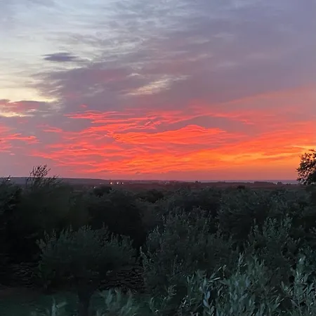 Cuccuru Relax - B Iun Q9882