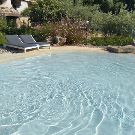 Cuccuru Relax - B Iun Q9882